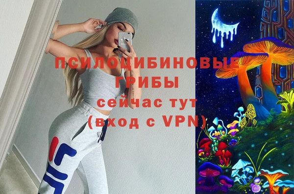 хмурый Алексеевка