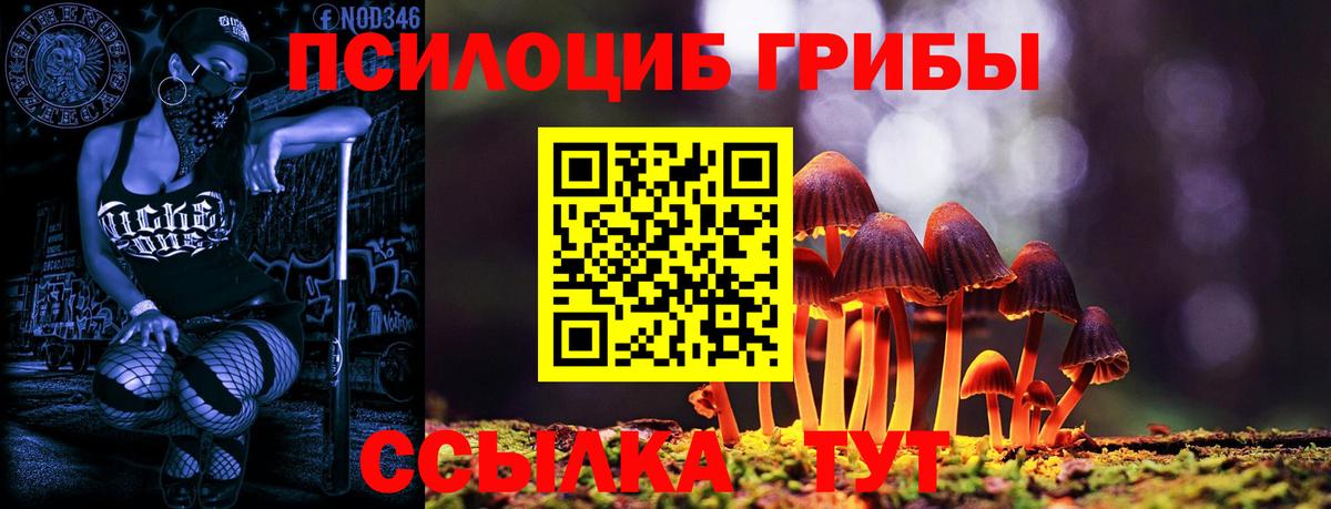 Псилоцибиновые грибы мухоморы Владивосток
